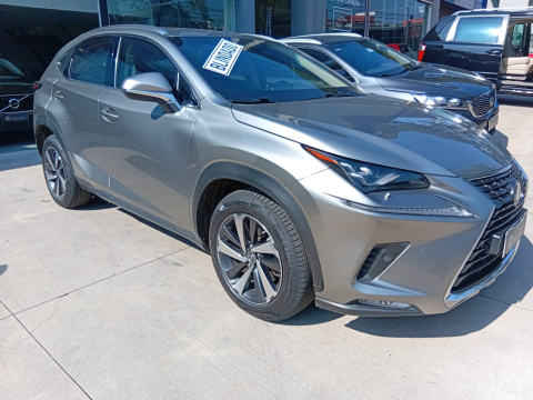 Lexus LUXURY 2.5 NX300H  2019